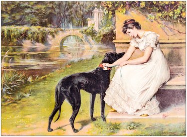Antique painting illustration: Woman with dog