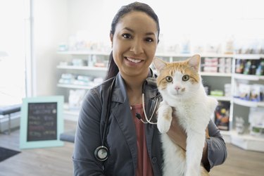 Portrait smiling veterinarian holding cat in clinic