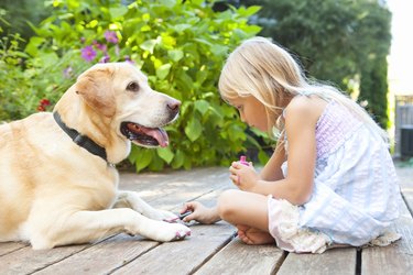 Little girl painting the claws of a dog with bright pink nail polish on a sunny summer afternoon in Portland, Oregon, USA