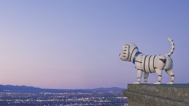 Robot dog looking at skyline at night, 3d rendering