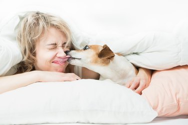 Dog bites the girl's nose.