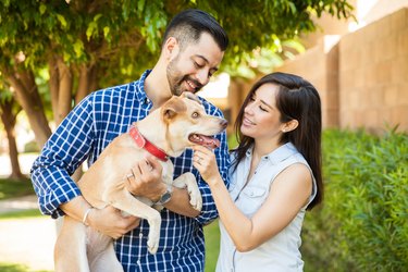 Cute couple petting their dog