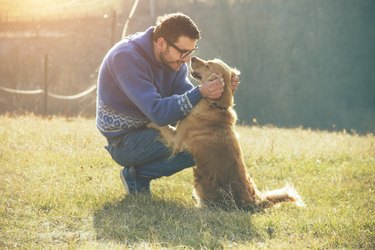 guy and his dog, golden retriever, nature