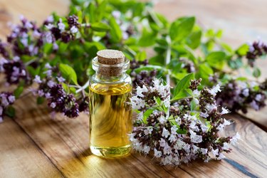 A bottle of oregano essential oil