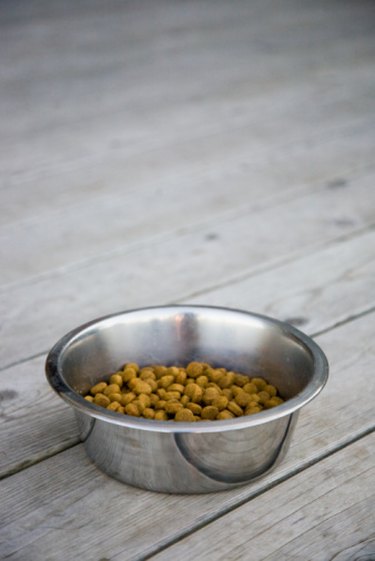 The Best Dog Foods for a Great Pyrenees Cuteness