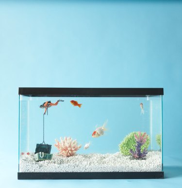 Paint for aquarium outlet ornaments