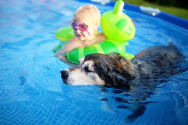 dog and young child on inflatable with dog in pool