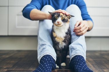 Low Section Of Man With Cat Sitting On Floor