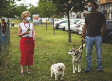 woman and man wearing masks walking their dogs