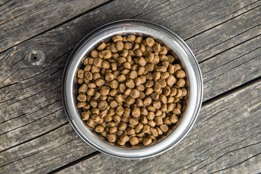 Dried food for animals