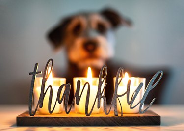 Thankful Gratitude Candles With Dog in Background