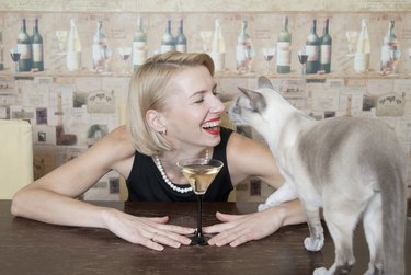Woman drinking martini with cat