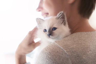 Woman hugging her kitten