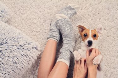 women with warm socks and small dog