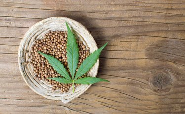 Cannabis seeds in a bowl on a wooden background