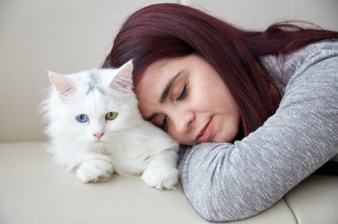 Fluffy cat pillow