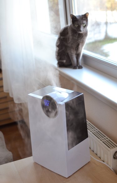 Ultrasonic air humidifier with flowing steam on the table near the window and russian blue cat at the background