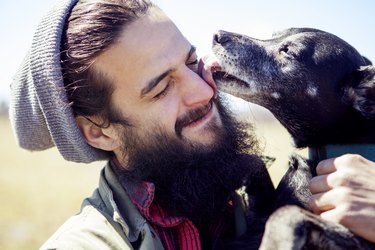 Close-up of dog licking mans face during sunny day