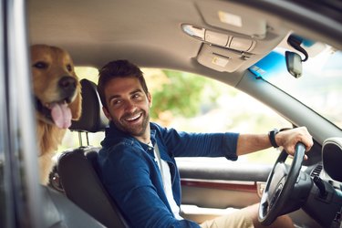 man looking back smiling at golden retriever in car