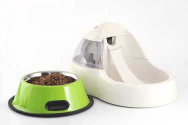 Pet food and electric water bowl