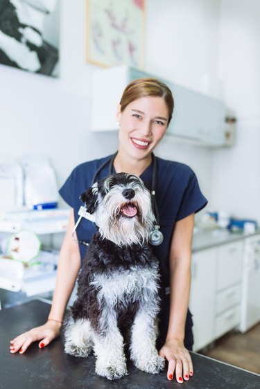 Vet with dog