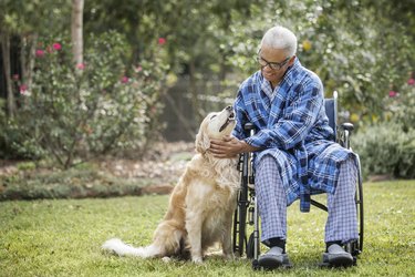 Senior African American man in wheelchair petting dog