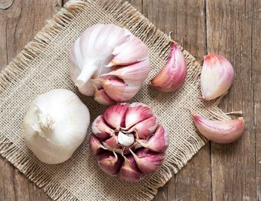 How bad is garlic for cheap cats