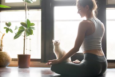 Young woman in Half Lotus pose at home, cat near