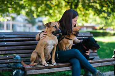 Dog walker