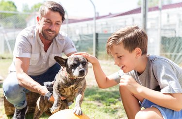 Dad and his son taking care of abandoned dog in animal shelter