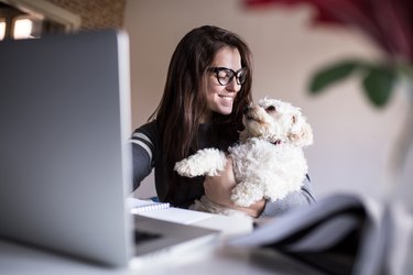 Woman and her dog in front of computer