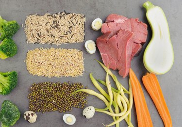 Natural raw ingredients for pet food on grey background.