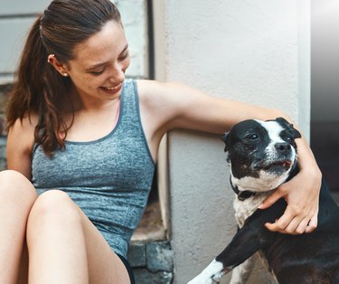 I'm ignoring you! Pet dog turns away from smiling owner