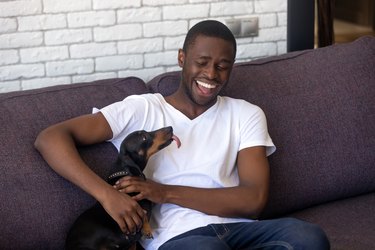 Smiling black guy relax on sofa playing with dackel dog