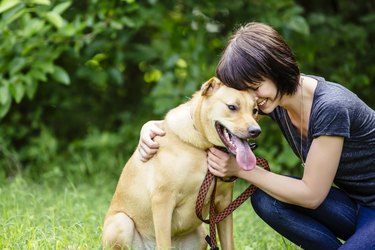 Caucasian woman petting dog in field