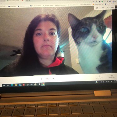 cat joins Facebook meet-up