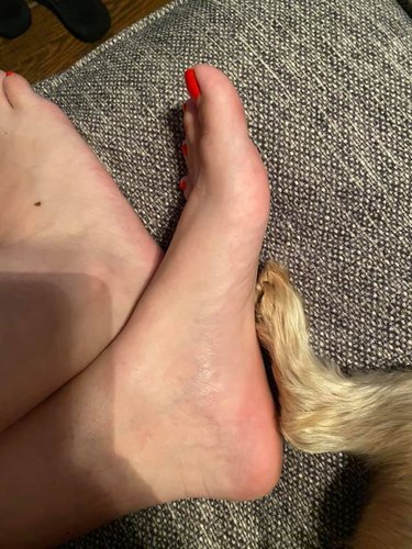 woman and dog touch feet