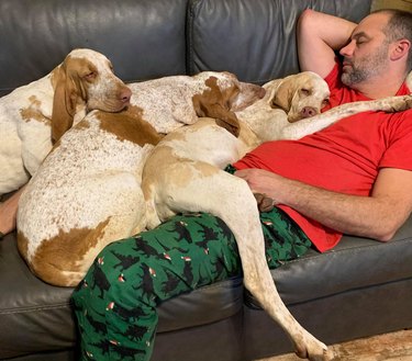 dogs sleep on man's chest
