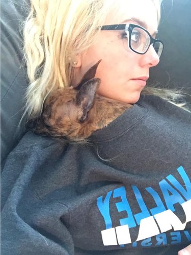 dog sleeps in woman's sweater