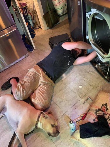 dog helps man repair washer