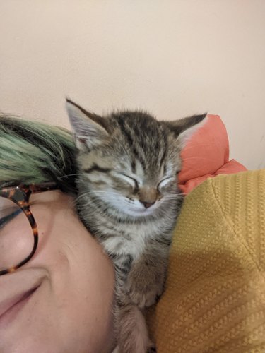 kitty sleeping on a lady's face