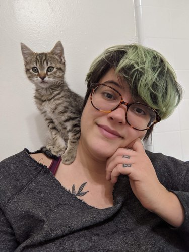 a kitty sitting on a lady's shoulder