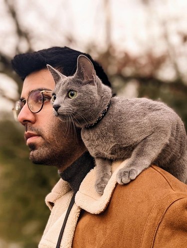 Man with gray cat sitting on his shoulder