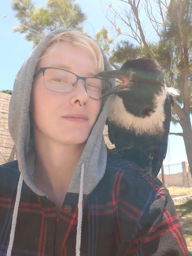 Person with crow sitting on shoulder