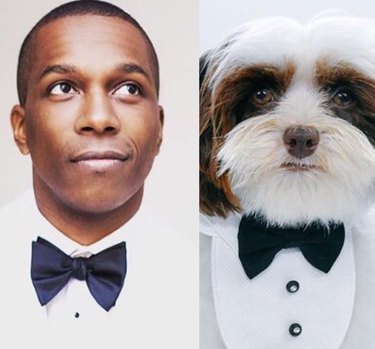 leslie odom jr and a dog in tuxes