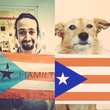 lin manuel miranda and dog holding puerto rican flags