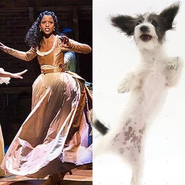 Renée Elise Goldsberry and dog dancing