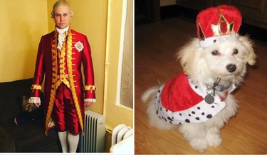 taran killam and a dog in king costumes