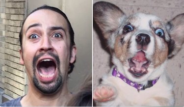 lin manuel-miranda and a dog looking excited