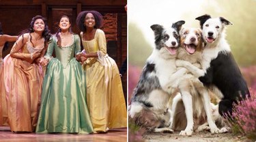 schuyler sisters and dogs hugging